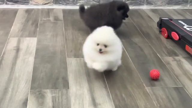 30 января 2023 г. смотреть онлайн