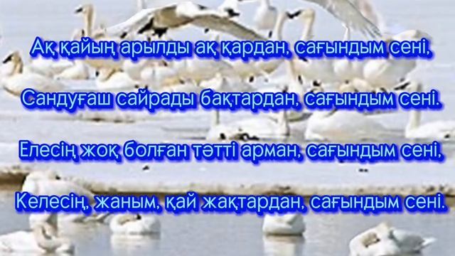 Ажар Түзелбекқызы - Сағындым сеніТекст песни караоке