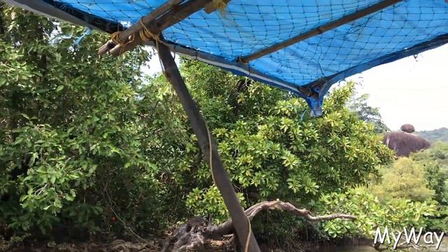 южное ГОА пляж палолем ловим крабов и кормим орлов смотреть онлайн