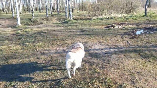 23 апреля 2020 г. смотреть онлайн