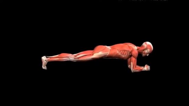 Планка Джека Bodyweight plank Jacks смотреть онлайн