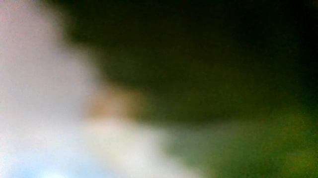 Бурый медвежонок(Я-бурый медвежонок, меня должны вы знать.Люблю я мед и сахар, люблю(наброски)