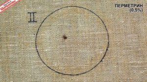 Реакция_клещей_на_АЛЬФАЦИПЕРМЕТРИН,_ПЕРМЕТРИН_и_ЦИПЕРМЕТРИН_Тест