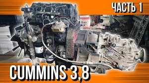 CUMMINS 3,8///РАЗБОР И ДЕФЕКТОВКА
