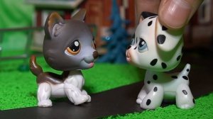 LPS фильм : МОЯ ЗАГАДОЧНАЯ СОСЕДКА ЖАННА 2часть / lps film