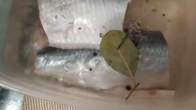 вкуснейшая малосольная селёдочка смотреть онлайн