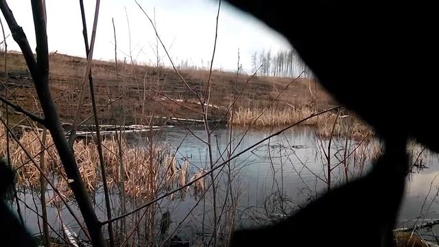 Подсадная зовёт смотреть онлайн