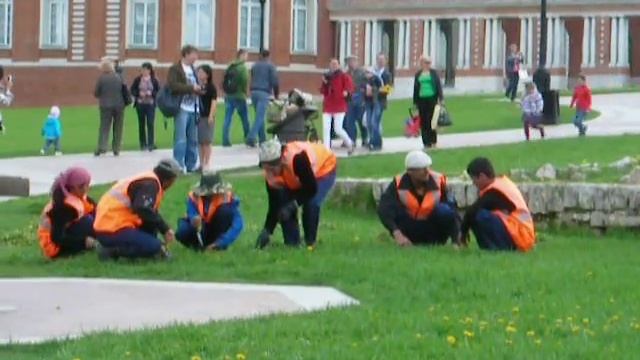 Садовники-гастарбайтеры в Царицино смотреть онлайн
