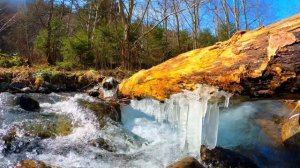 ЗВУКИ ПРИРОДЫ. ВЕЛИКОЛЕПНЫЙ РЕЛАКС ДЛЯ ВОССТАНОВЛЕНИЯ ЭНЕРГИИ.