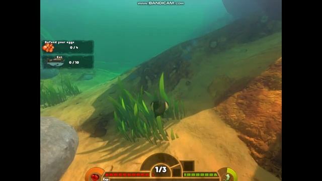 Feed And Grow-выживание за карпа