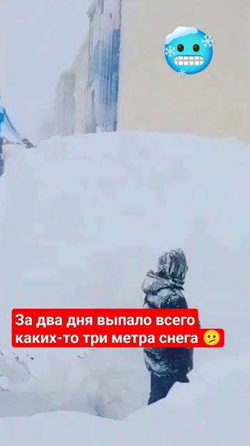 Сахалин немного припорошило снежком 🥶 #путешествия #сахалин #sanyadvizok смотреть онлайн
