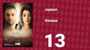 Венера 13 серия (сериал, 2017)