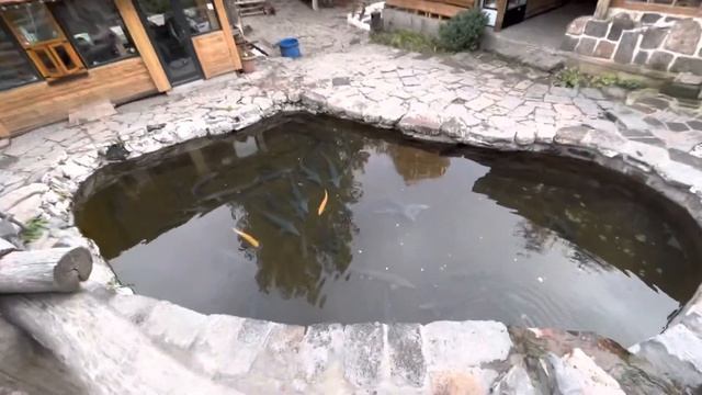 Гюмри рыбный ресторан смотреть онлайн