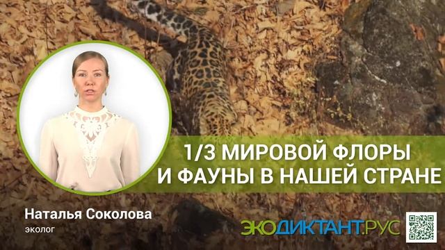 Экодиктант 2021 смотреть онлайн