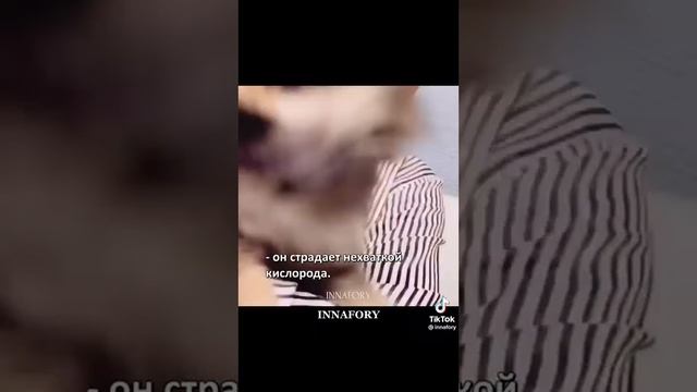 боже я не могу это слушать до конца, у меня сердце кровью обливается 😭😭😭😭😭😭😭😭😭😭😭😭😭 смотреть онлайн