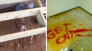 Гуру остроумия среди нас