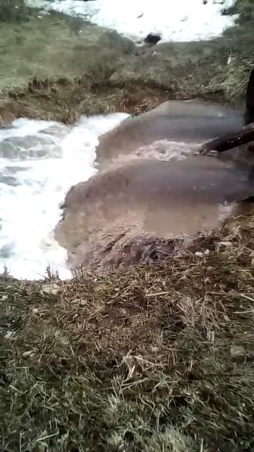 Растаял снег👏👏👏 смотреть онлайн