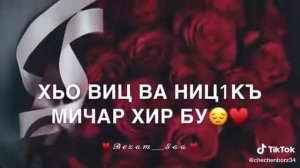 Тамара Дадашева веза сан йиш йоцу везар