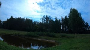 Хроники сенокоса. Жизнь на Лесном Хуторе.