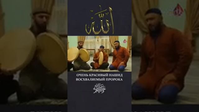 НАЗАМ-САЛОВАТ смотреть онлайн