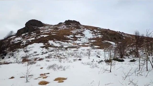 Кашина в Рождество