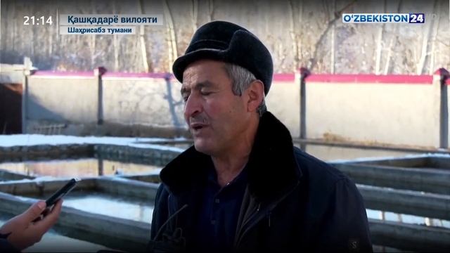 Президент қарорига шарҳ смотреть онлайн