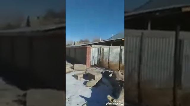 Каракыстак смотреть онлайн