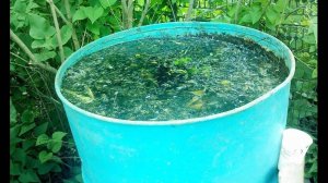 Как избавиться от кустарников За 3 Секунды!.....