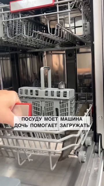 Спрашивали? Отвечаю! #самсебесушист #neatsvor