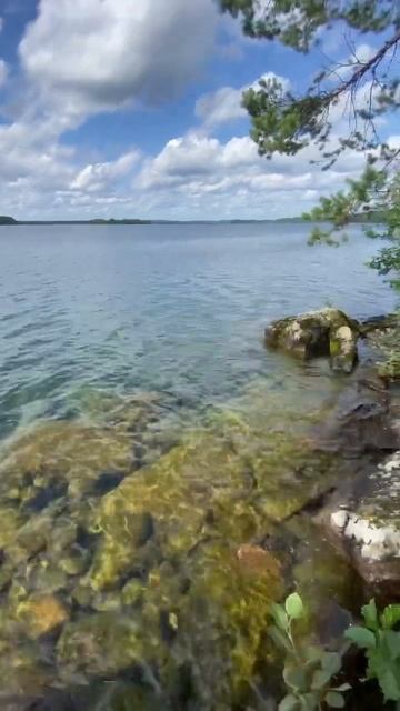 Карелия, Урозеро/Светлое смотреть онлайн