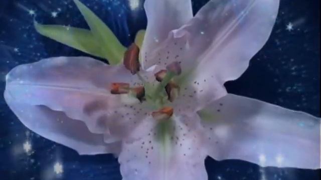 Цветы небесного Сиона - Flowers of Heavenly Zion смотреть онлайн