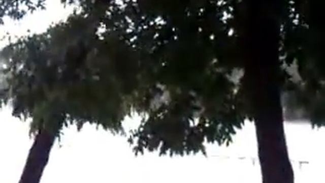 Видео0032 смотреть онлайн
