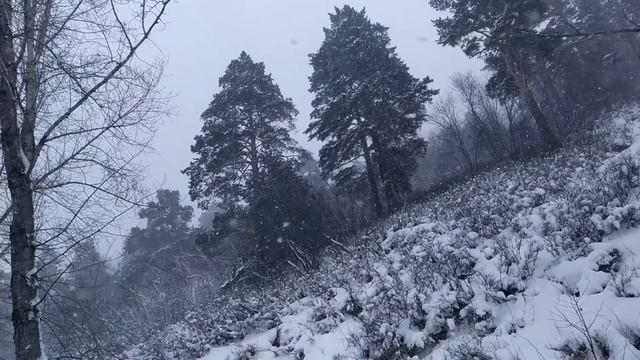 без лыжни по снегопаду смотреть онлайн