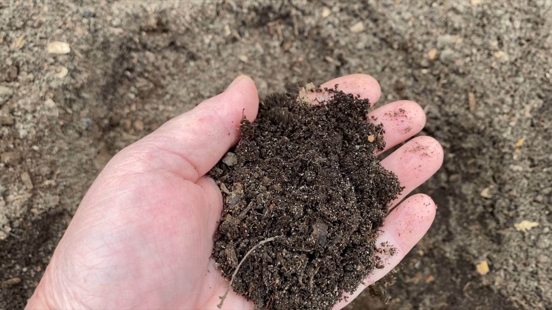 Краткое содержание первой части 🤣🤣🤣🤣. Своя земля из компоста лучше чем покупная. смотреть онлайн