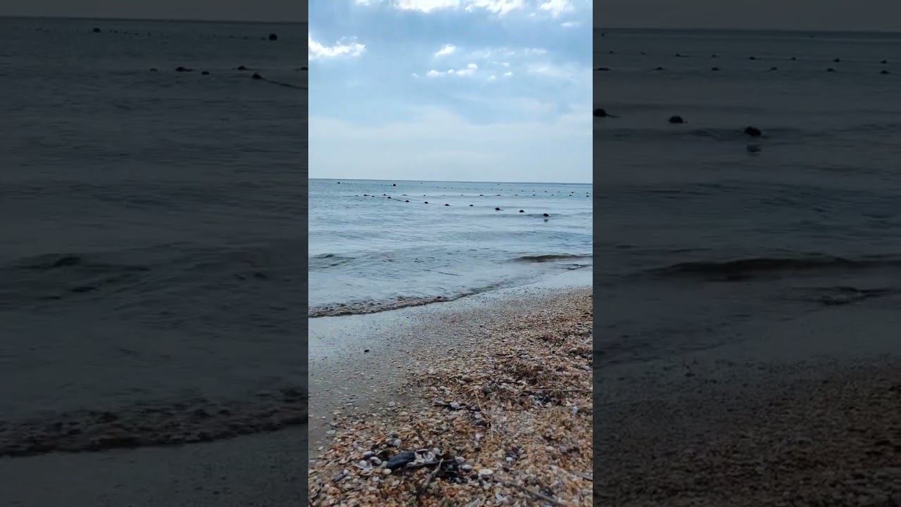 Ну здравствуй морюшкоКак же я мечтала с тобой встретиться смотреть онлайн