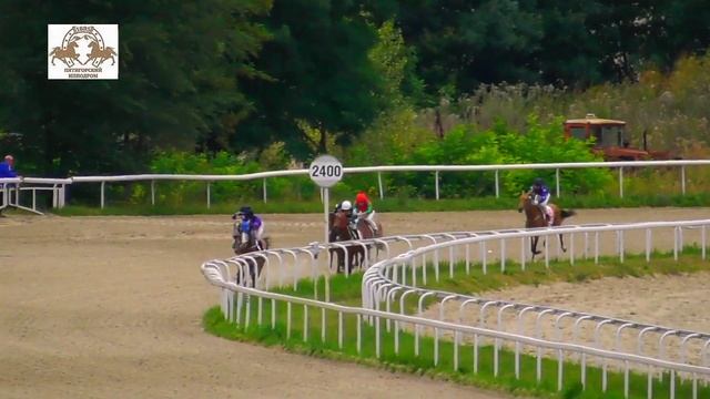 07.08.2022 - Приз им. В.П.Шамборанта на лошадях 2-х лет ахалтекинской породы - Парфия-Сэр