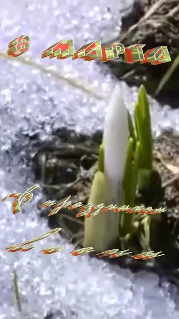 Поздравление с праздником весны 8 марта. смотреть онлайн