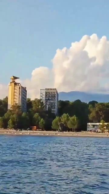 АБХАЗИЯ, обстановка и погода сегодня в ПИЦУНДЕ, начало августа, ЛЕТО 2024 #абхазия #travel #туризм смотреть онлайн