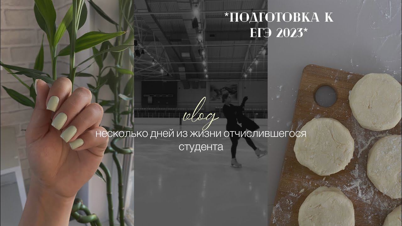 учеба, тренировки, готовка | *несколько дней из жизни отчислившегося студента* смотреть онлайн