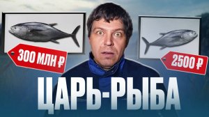 МИЛЛИОНЫ долларов всего за 1 кг _ Обзор 7 САМЫХ ДОРОГИХ рыб в мире за 10 минут