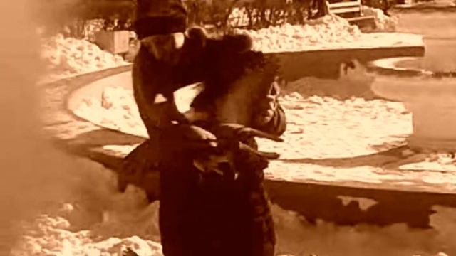 Ручные голоби смотреть онлайн