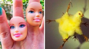 Сумасшедший мир онлайн шопинга (#26)