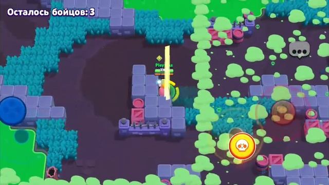 24 июля 2020 г.