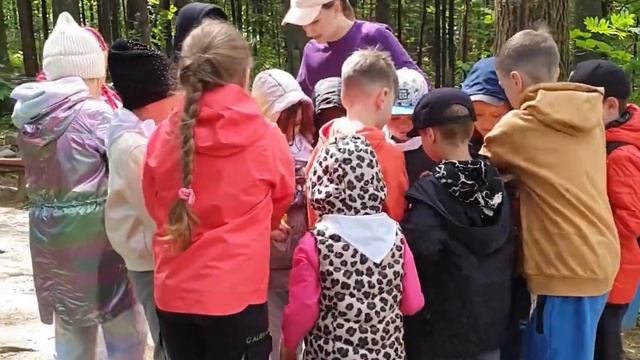 Лето в горах 2022. Как это было смотреть онлайн