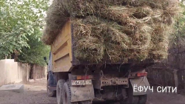 село в далеких горах Таджикистана очень красиво июль 2022 смотреть онлайн