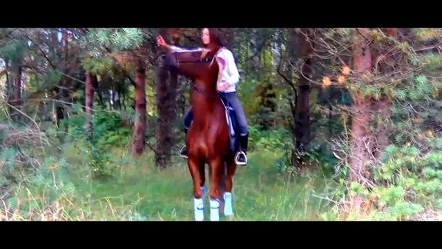 [[Диана и Жужа]] смотреть онлайн