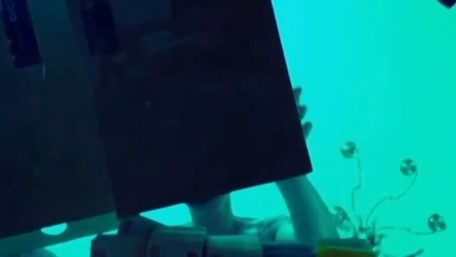 Мурад и Скриптонит общухаются 😎