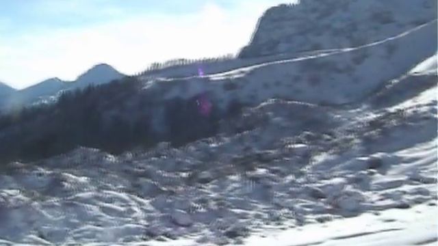 Фишт лыжный 2006