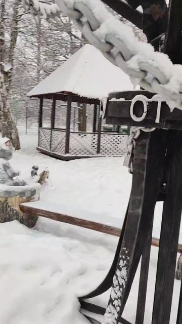 Дерево с котом - подарок кузнецов городу Сестрорецку смотреть онлайн