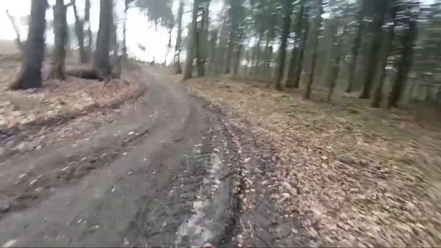 НАШЛИ МЕСТО для ДЕРТА в ЛЕСУ!